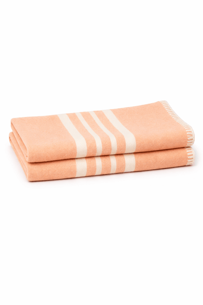Set of 2 Farmhouse Hand Towels