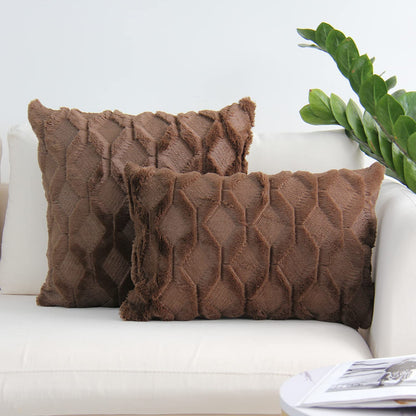 Set of 2 Throw Pillow Covers with Inserts