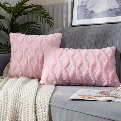 Set of 2 Throw Pillow Covers with Inserts