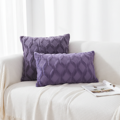 Set of 2 Throw Pillow Covers with Inserts