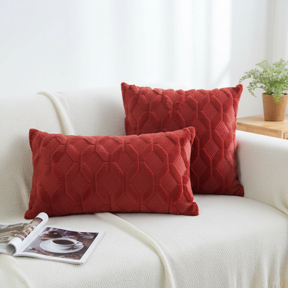 Set of 2 Throw Pillow Covers with Inserts