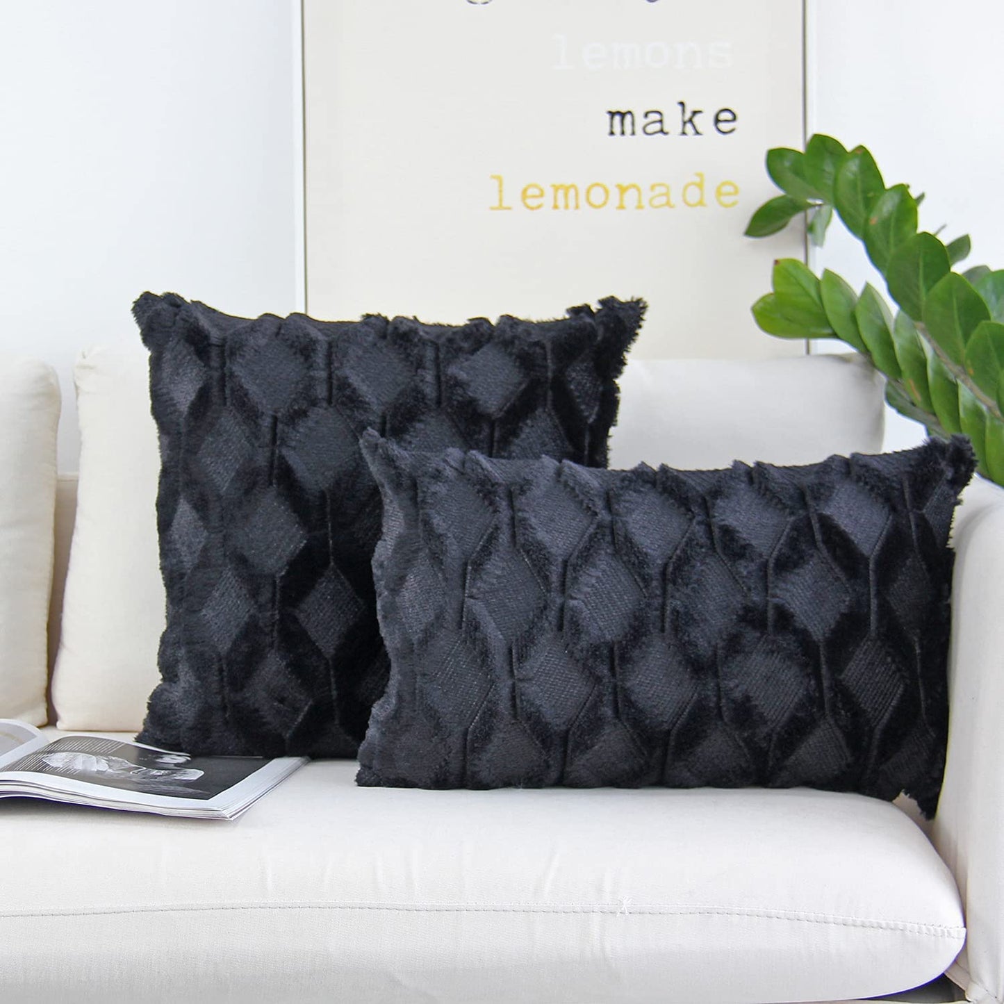 Set of 2 Throw Pillow Covers with Inserts