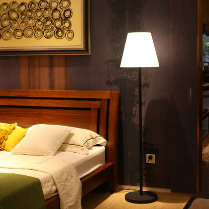 Simple LED Decorative Floor Lamp