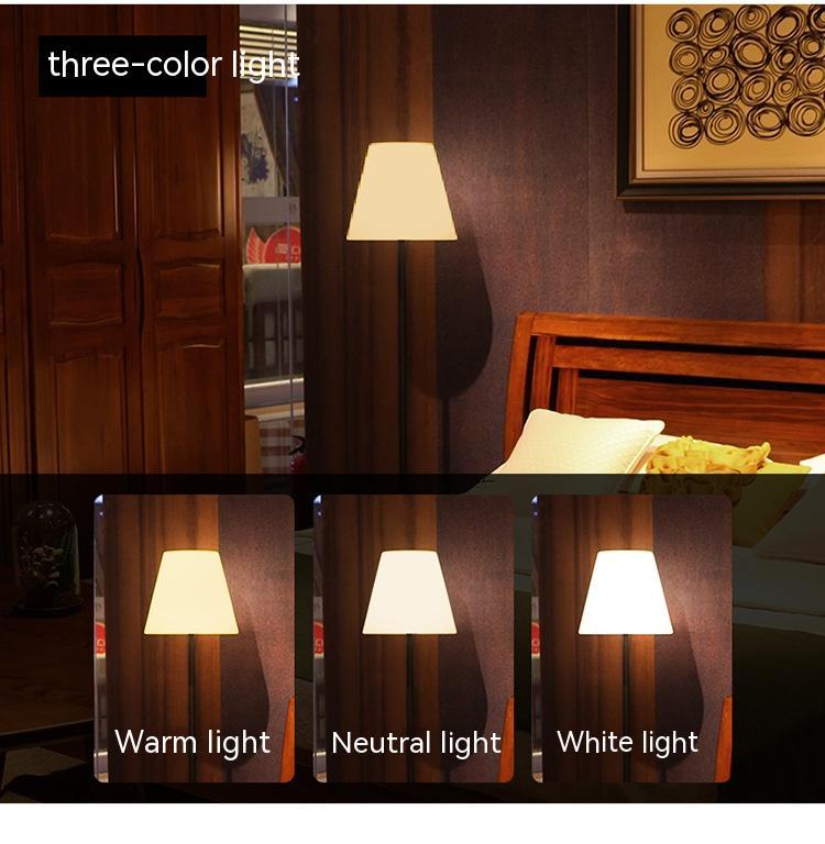 Simple LED Decorative Floor Lamp