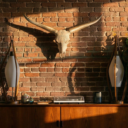 Faux Steer Skull and Horns Western Wall Decor