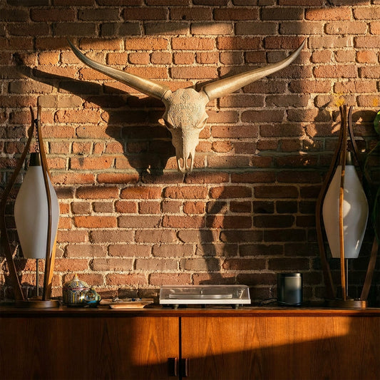 Faux Steer Skull and Horns Western Wall Decor