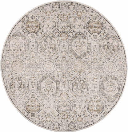 Modern Soft Decorative Parkerfield Area Rug