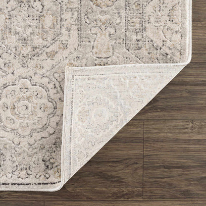 Modern Soft Decorative Parkerfield Area Rug