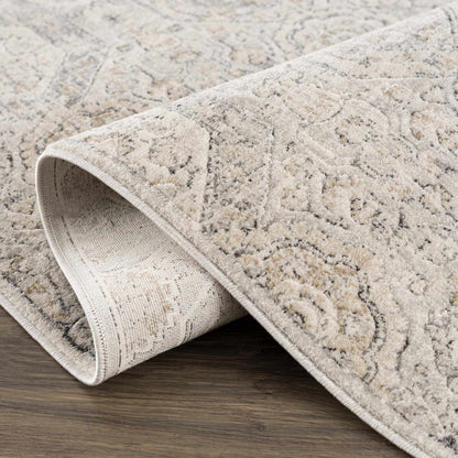 Modern Soft Decorative Parkerfield Area Rug