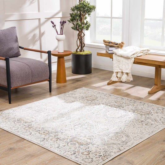 Modern Soft Decorative Parkerfield Area Rug