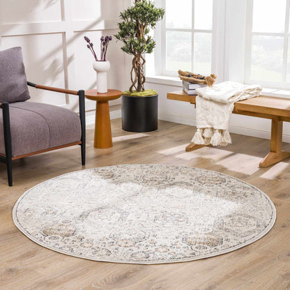 Modern Soft Decorative Parkerfield Area Rug
