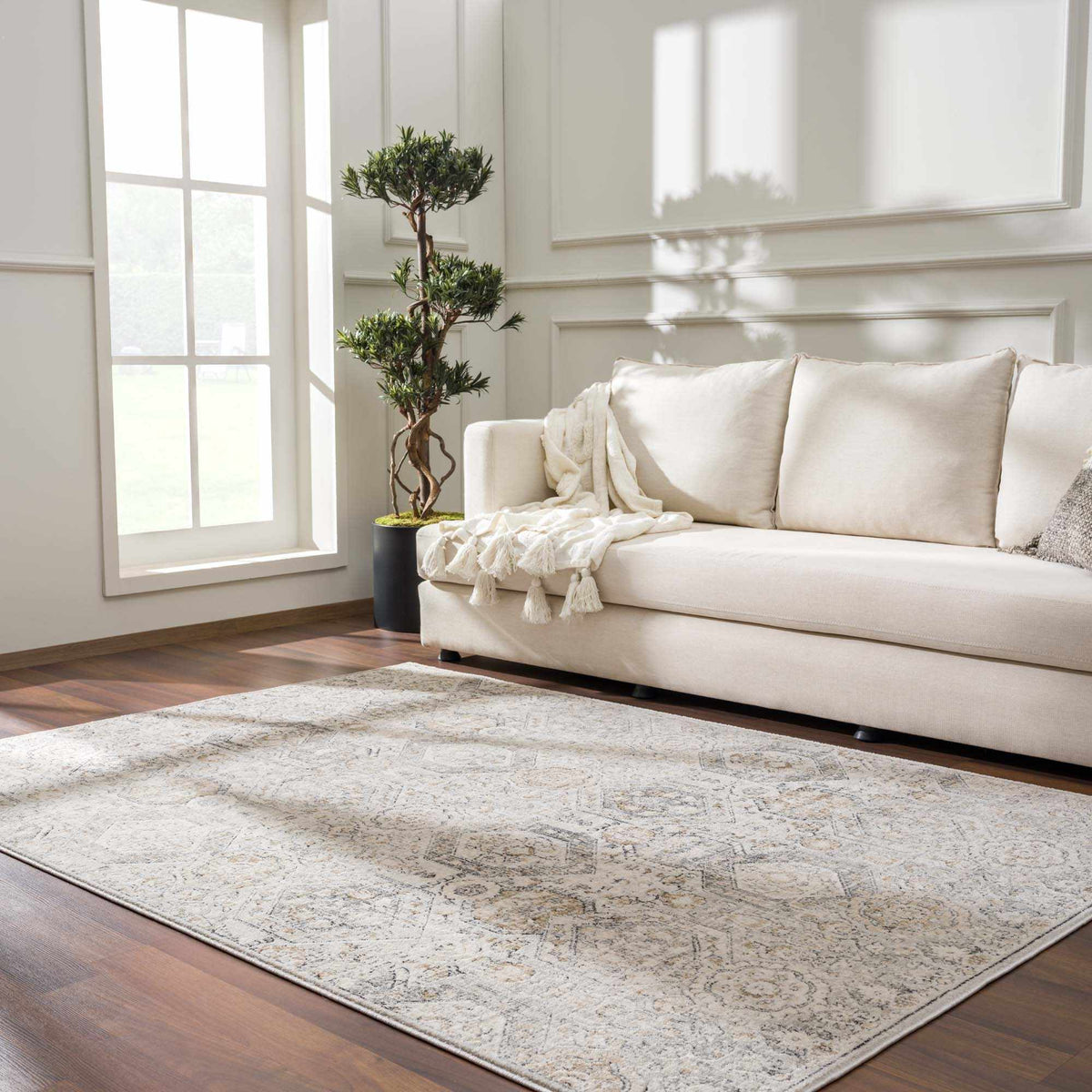 Modern Soft Decorative Parkerfield Area Rug