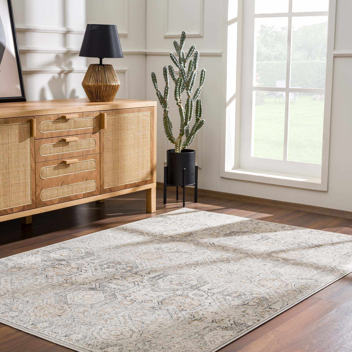 Modern Soft Decorative Parkerfield Area Rug