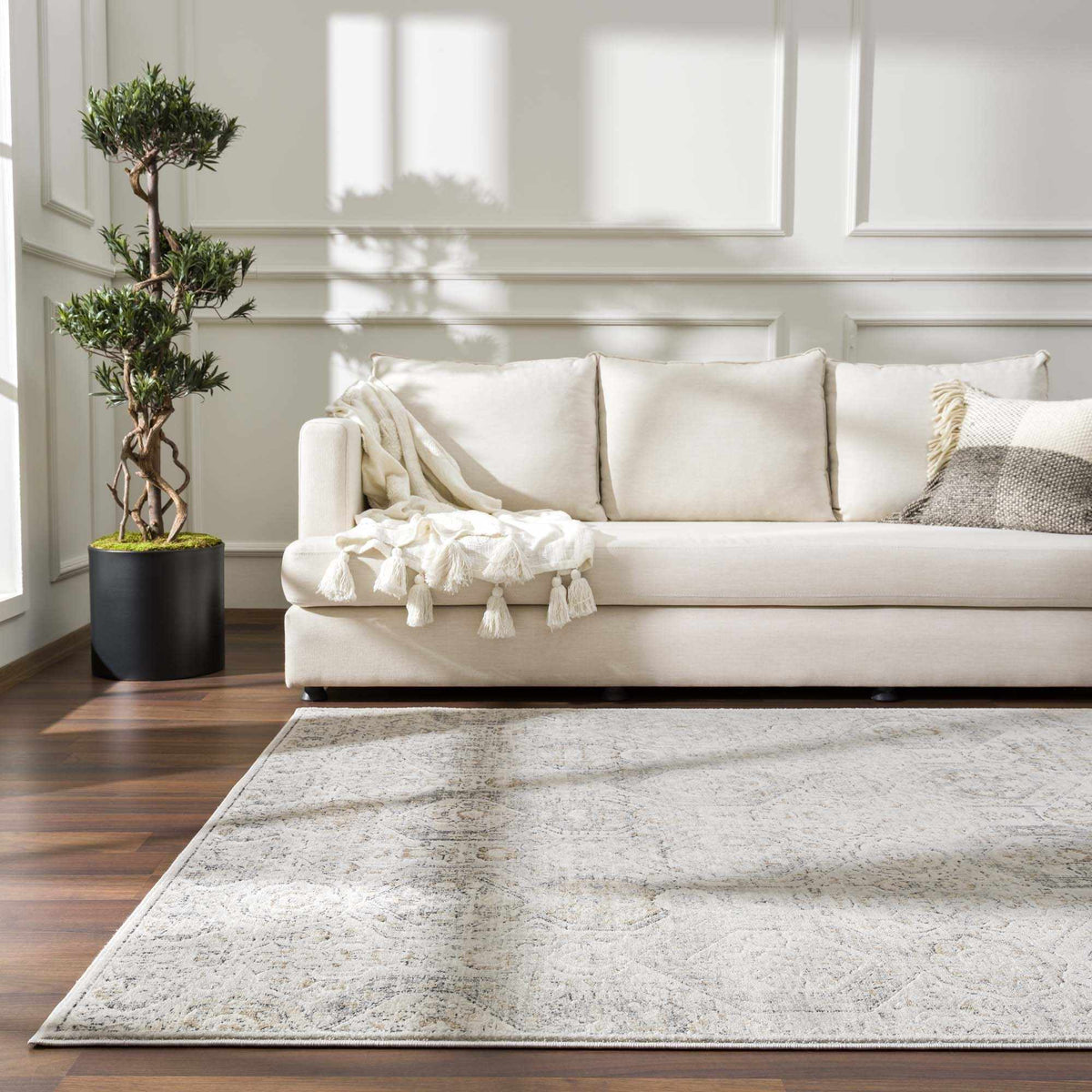 Modern Soft Decorative Parkerfield Area Rug