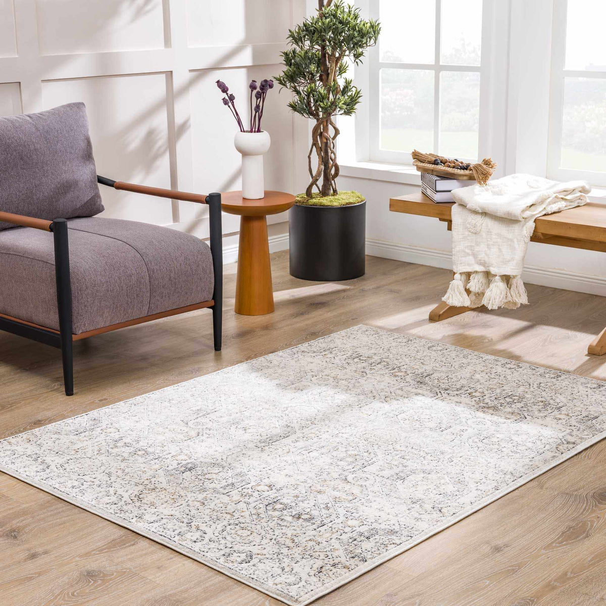 Modern Soft Decorative Parkerfield Area Rug