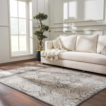 Modern Soft Minoa Area Rug