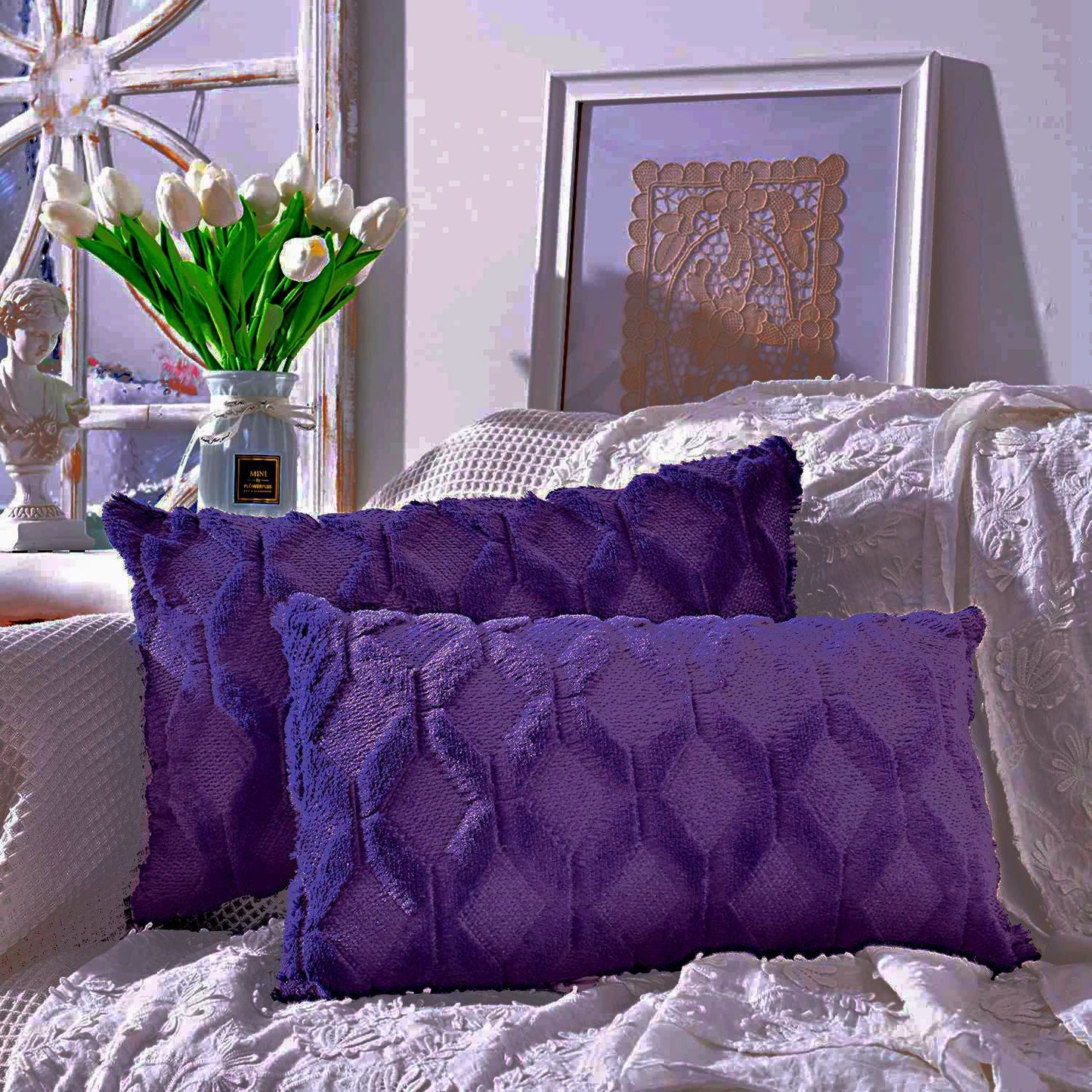 Set of 2 Throw Pillow Covers with Inserts