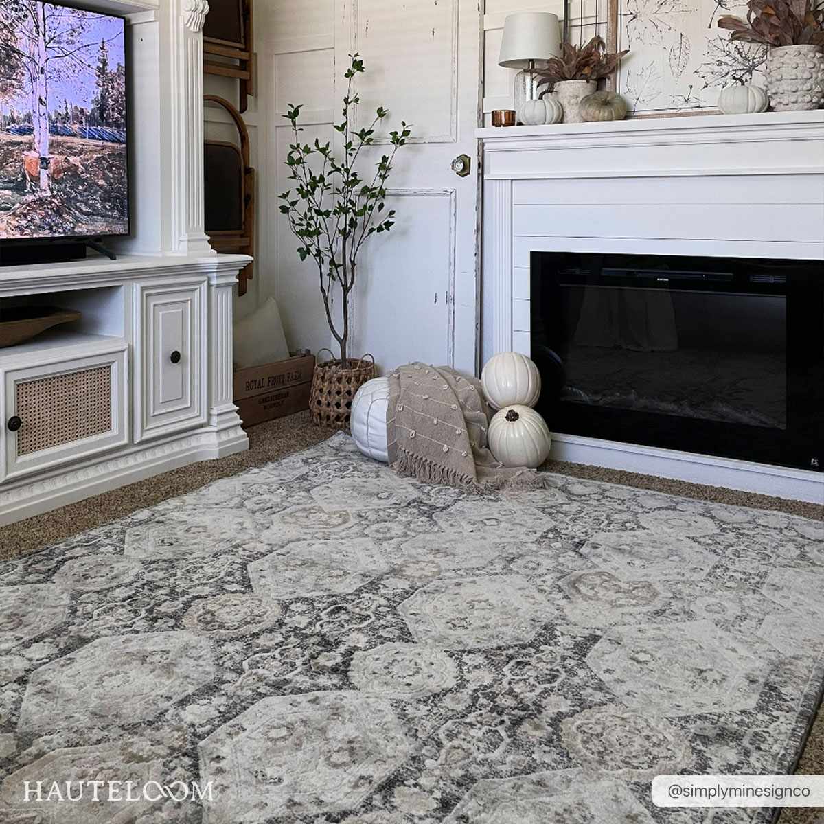 Modern Soft Minoa Area Rug