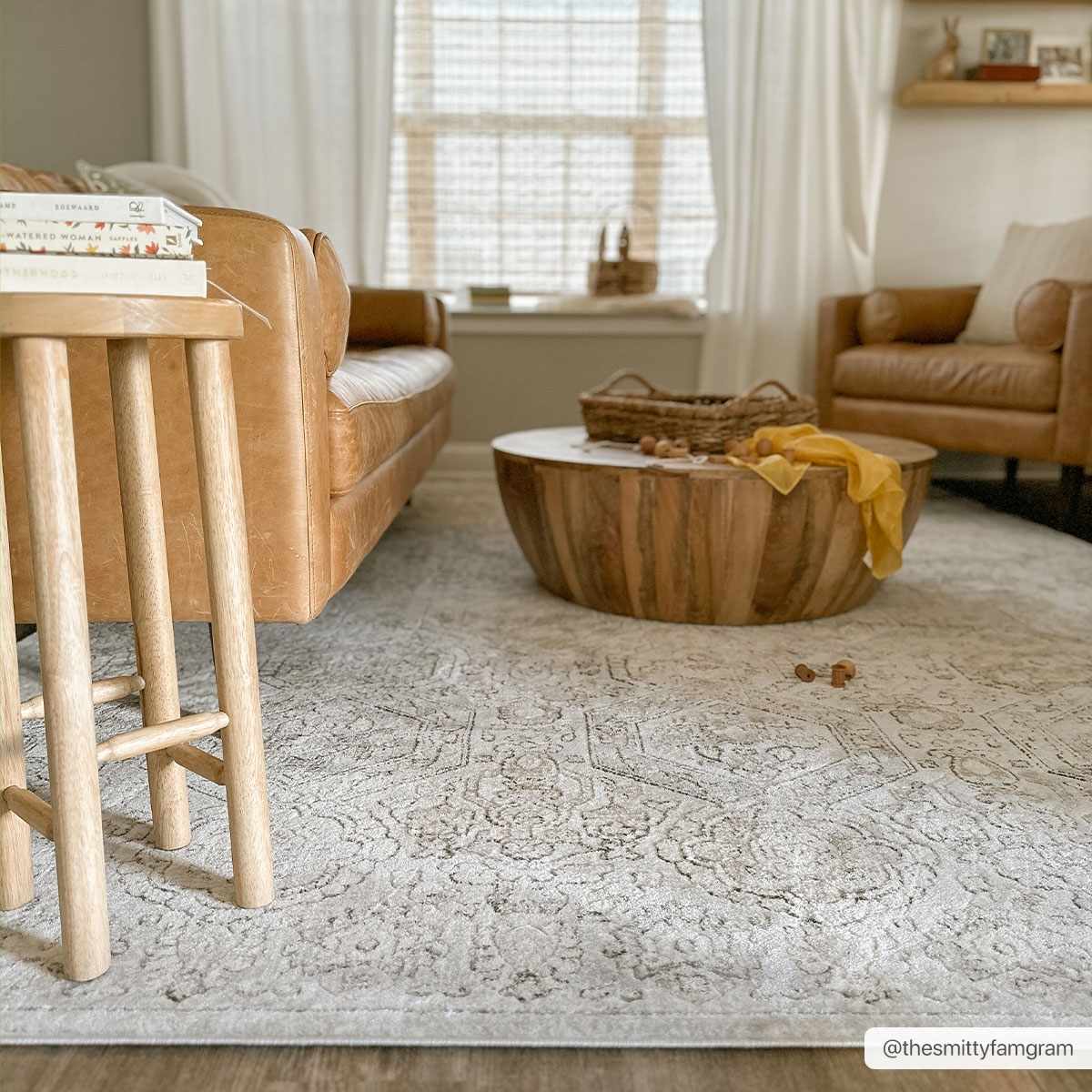 Modern Soft Decorative Parkerfield Area Rug