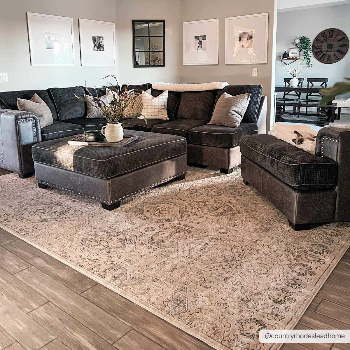 Modern Soft Decorative Parkerfield Area Rug