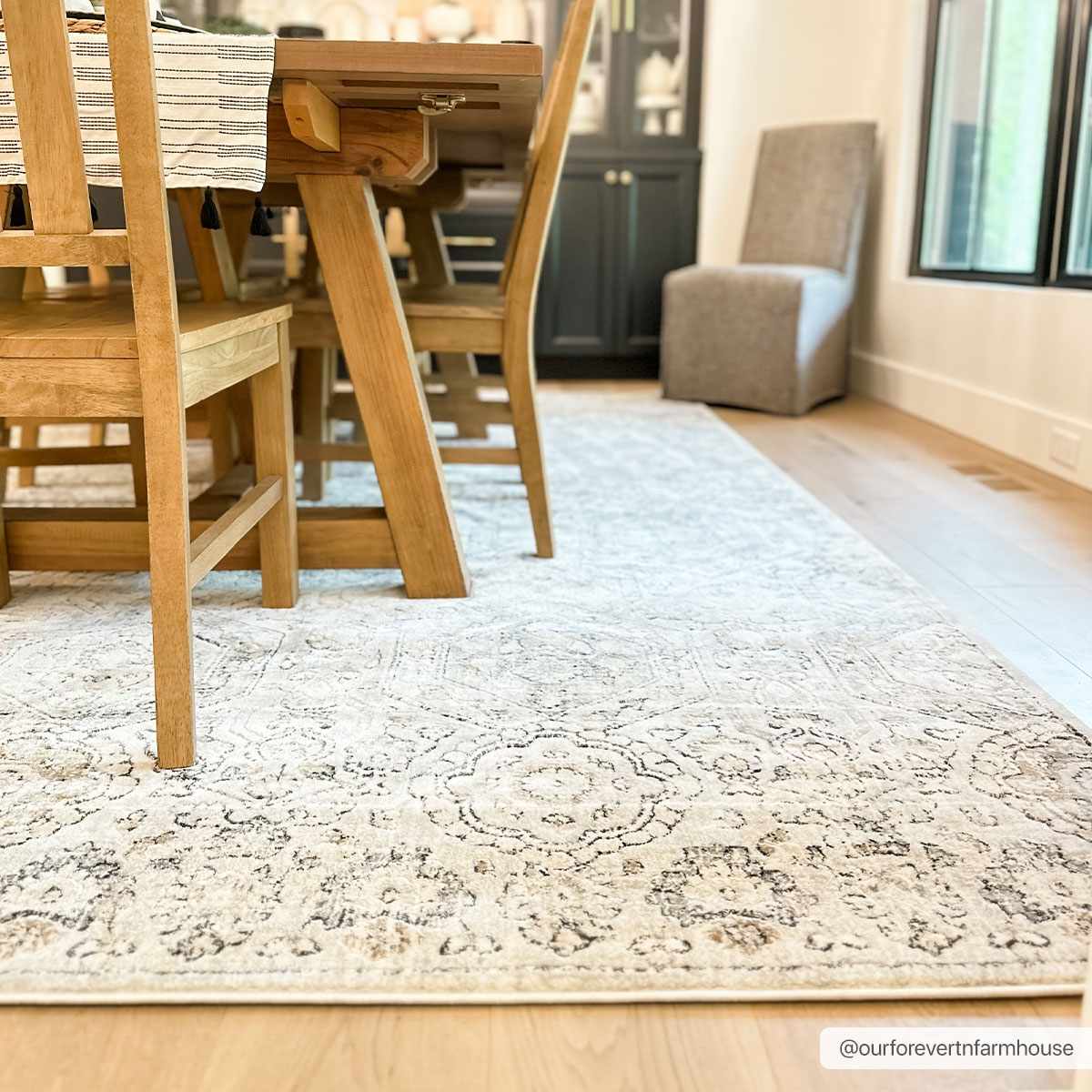 Modern Soft Decorative Parkerfield Area Rug