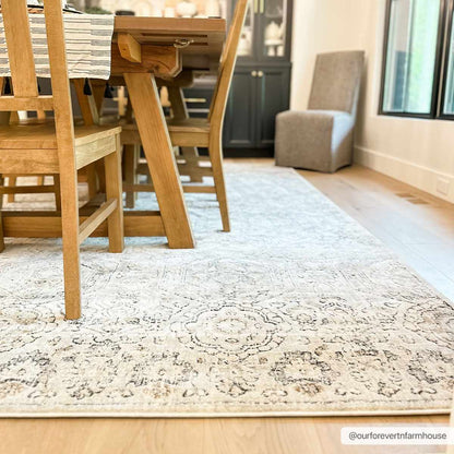 Modern Soft Decorative Parkerfield Area Rug