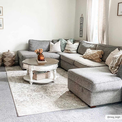 Modern Soft Decorative Parkerfield Area Rug