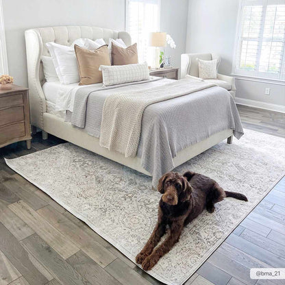 Modern Soft Decorative Parkerfield Area Rug