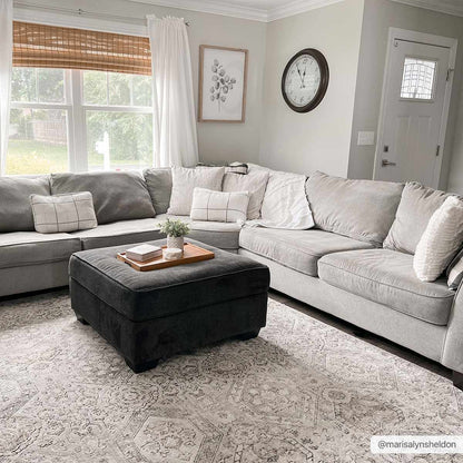 Modern Soft Decorative Parkerfield Area Rug