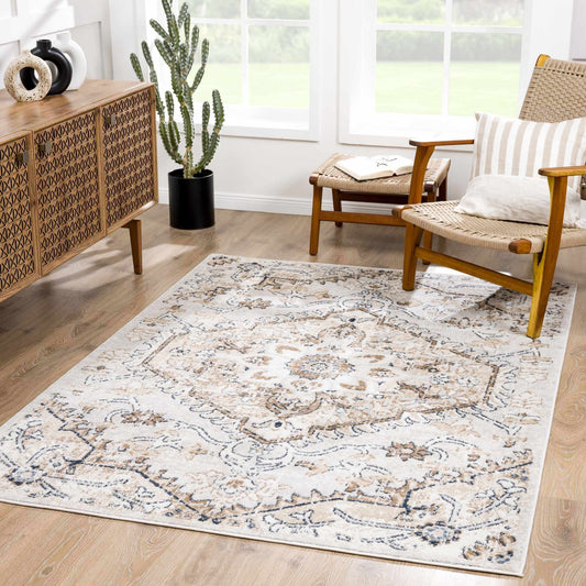 Modern Soft Decorative Rug for Living Room