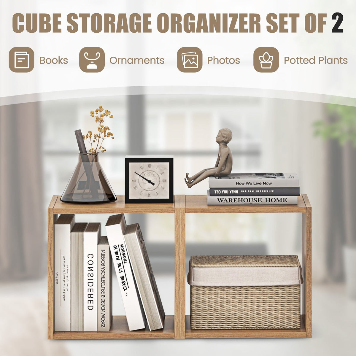 Cube Storage Organizer Set of 2