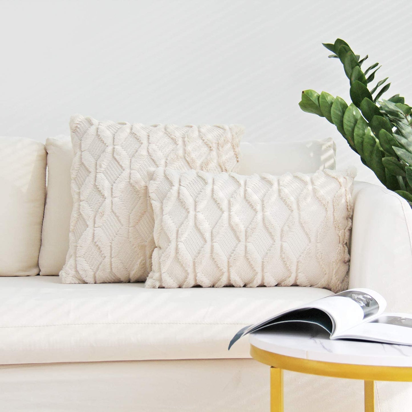 Set of 2 Throw Pillow Covers with Inserts