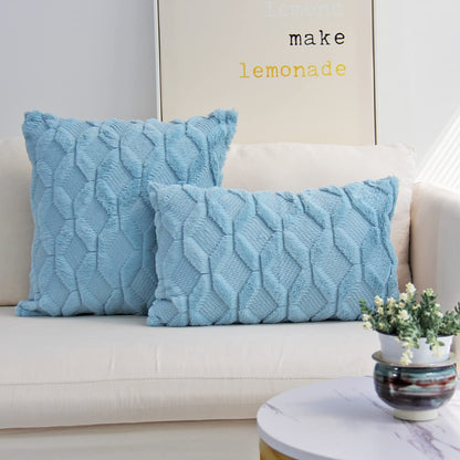 Set of 2 Throw Pillow Covers with Inserts