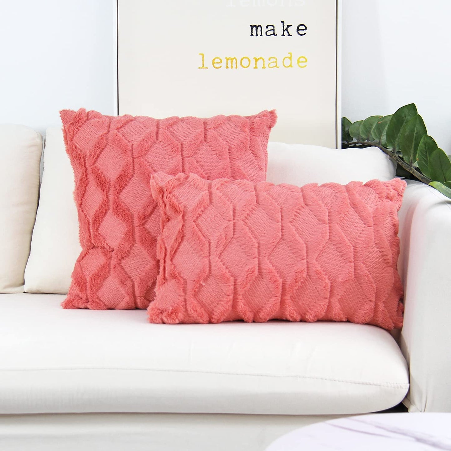 Set of 2 Throw Pillow Covers with Inserts