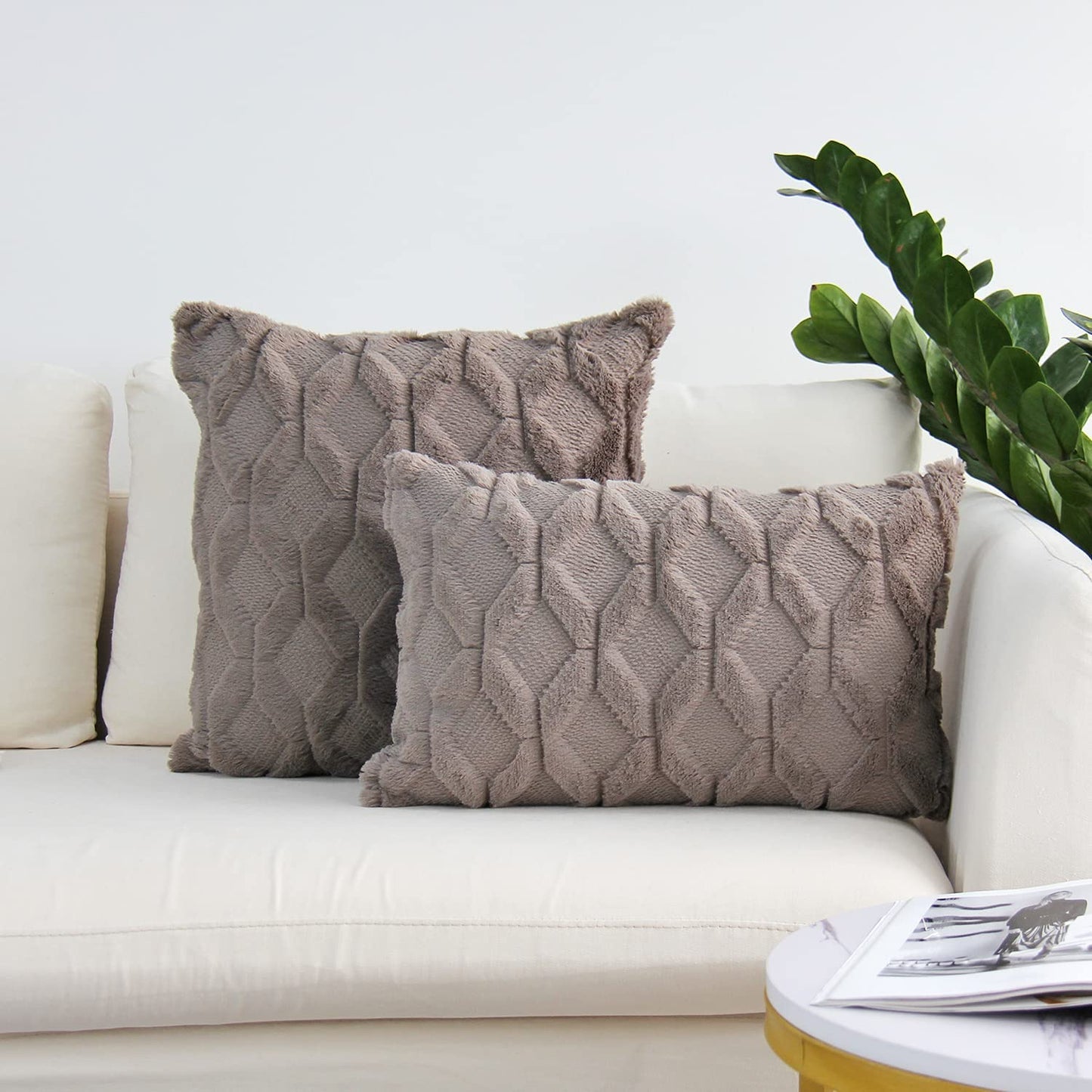 Set of 2 Throw Pillow Covers with Inserts