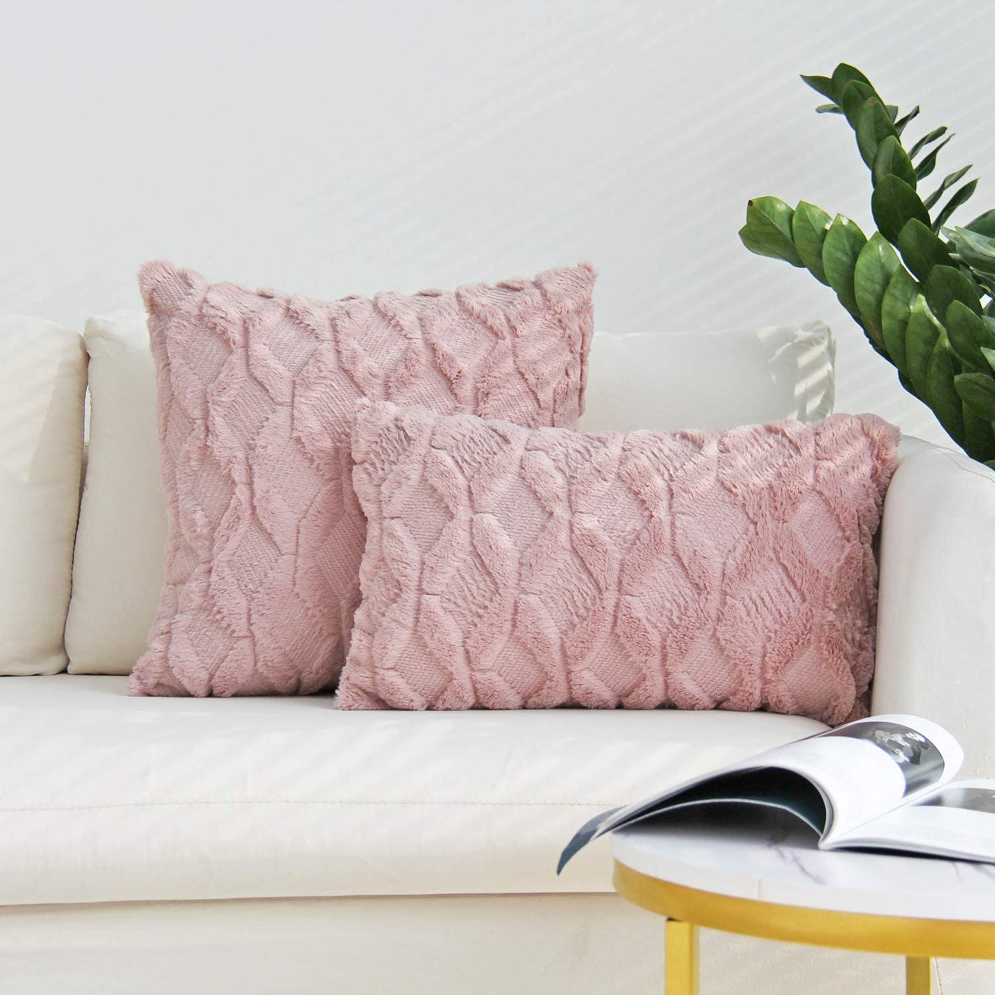 Set of 2 Throw Pillow Covers with Inserts