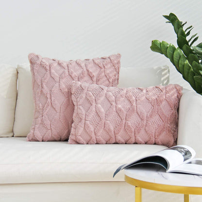 Set of 2 Throw Pillow Covers with Inserts