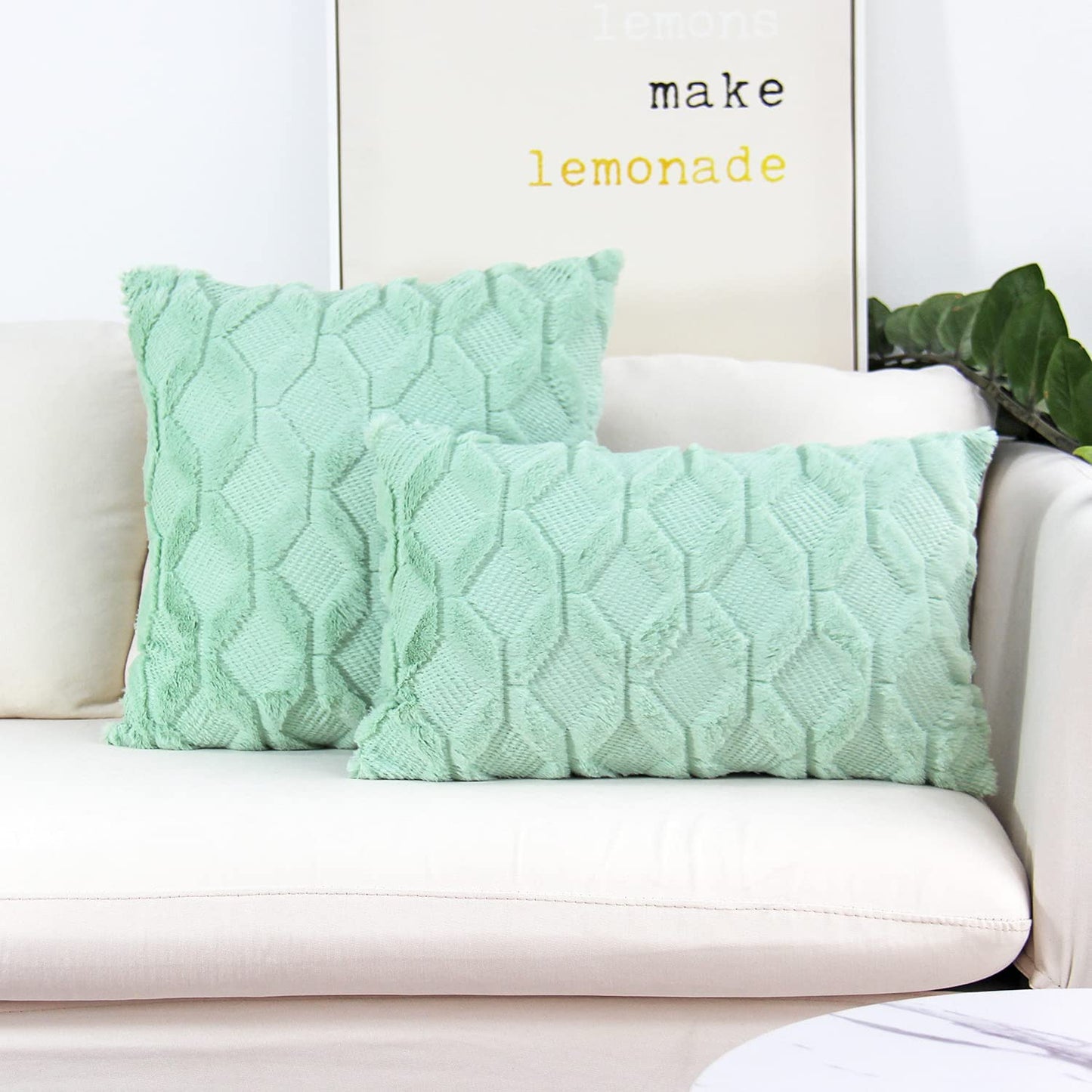 Set of 2 Throw Pillow Covers with Inserts
