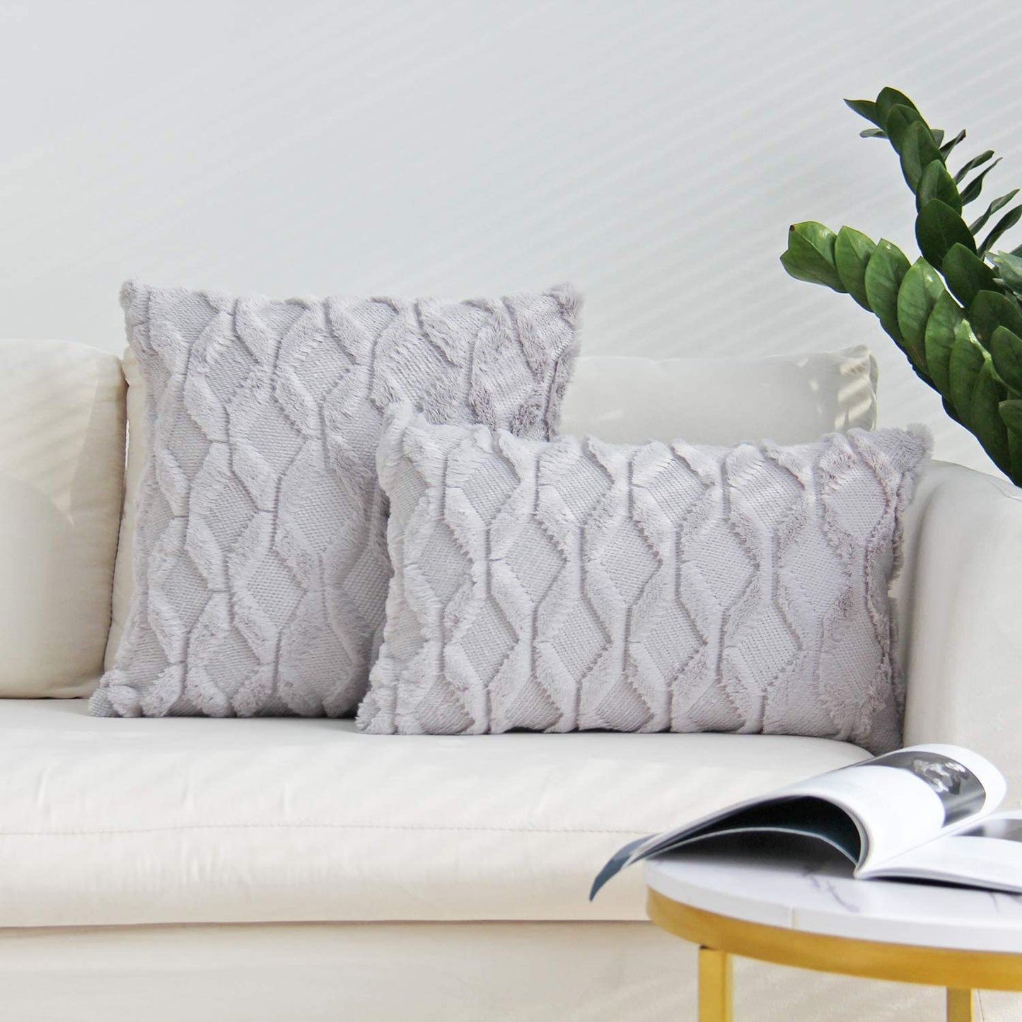 Set of 2 Throw Pillow Covers with Inserts