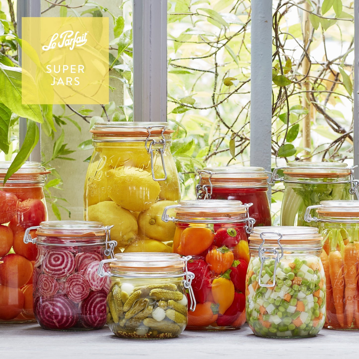 French Glass Canning Jars with Stainless Wire-Bail Clamp Lid