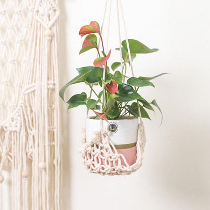 Handmade Macrame Wall Hanging Tapestry