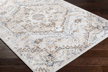 Modern Soft Decorative Rug for Living Room